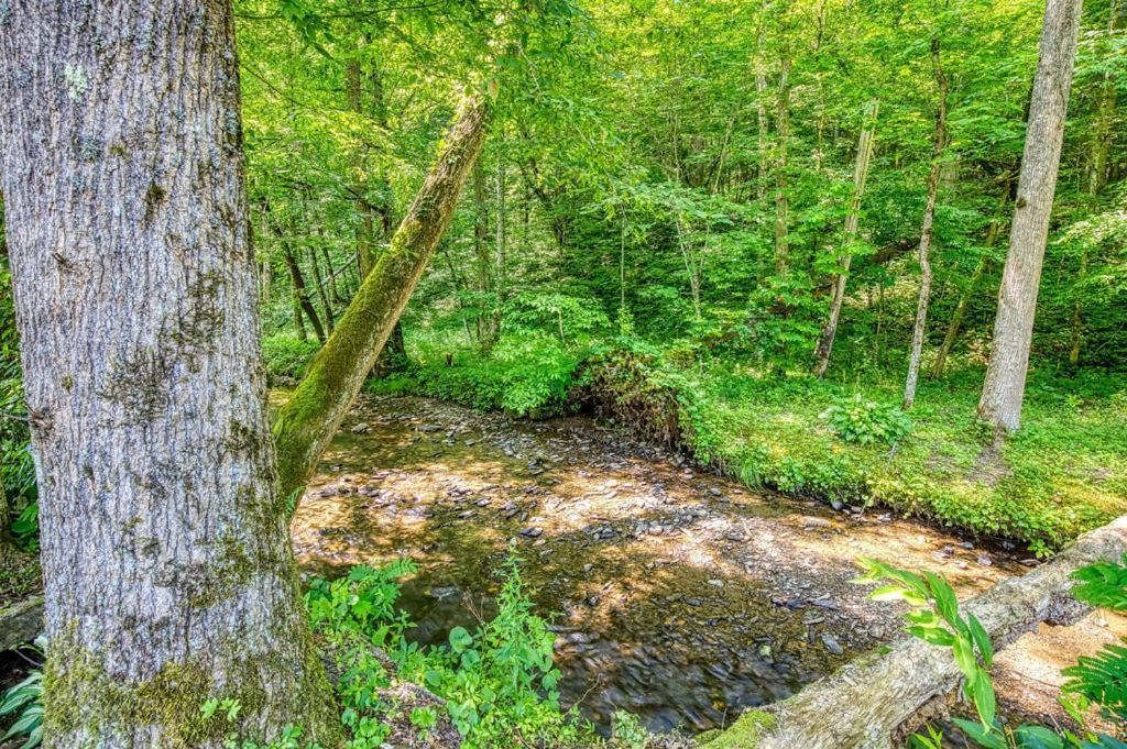Black Bear Falls - With An In-Law Suite Gatlinburg Exterior foto